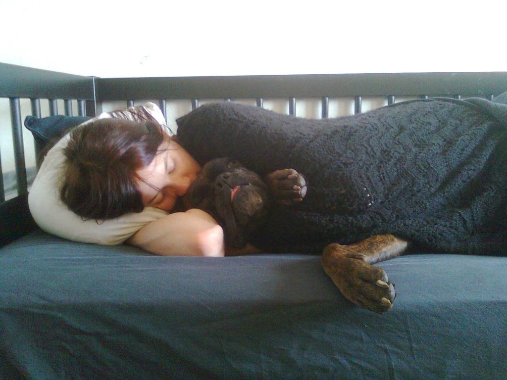 A person asleep in bed at night with a dog resting nearby